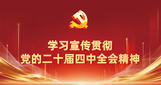 學(xué)習(xí)宣傳貫徹黨的二十屆四中全會(huì)精神